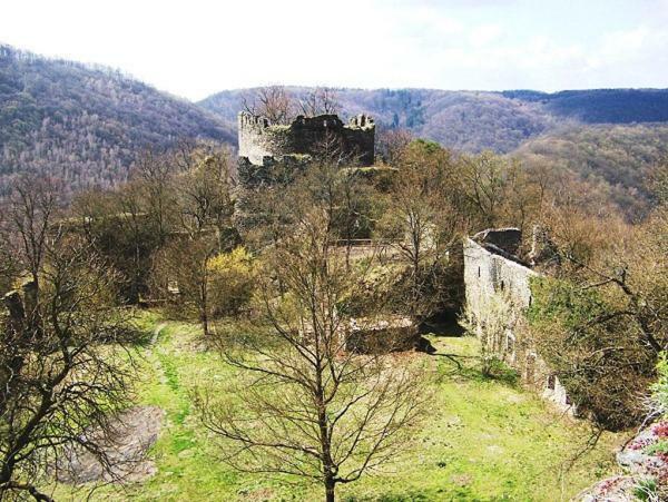 Garden Apartments Znojmo Eksteriør bilde